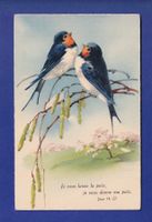 OISEAU - Hirondelles - Verset par Klein