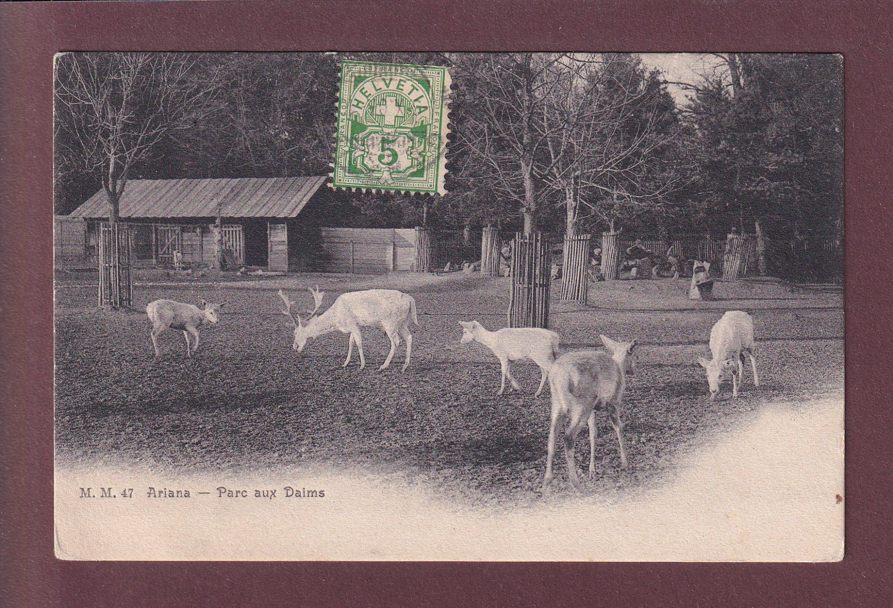 Cartoline postali: GENEVE - Ariana - Parc aux daims - 1907 – Usato da Pully venduto da nicecards