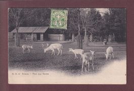 GENEVE - Ariana - Parc aux daims - 1907