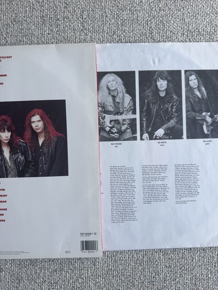 Dischi in vinile: Mr. Big  -Lean Into It - LP - 90s – Usato da Rorbas venduto da BlackstarRecords 2