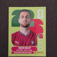 Panini POR 6