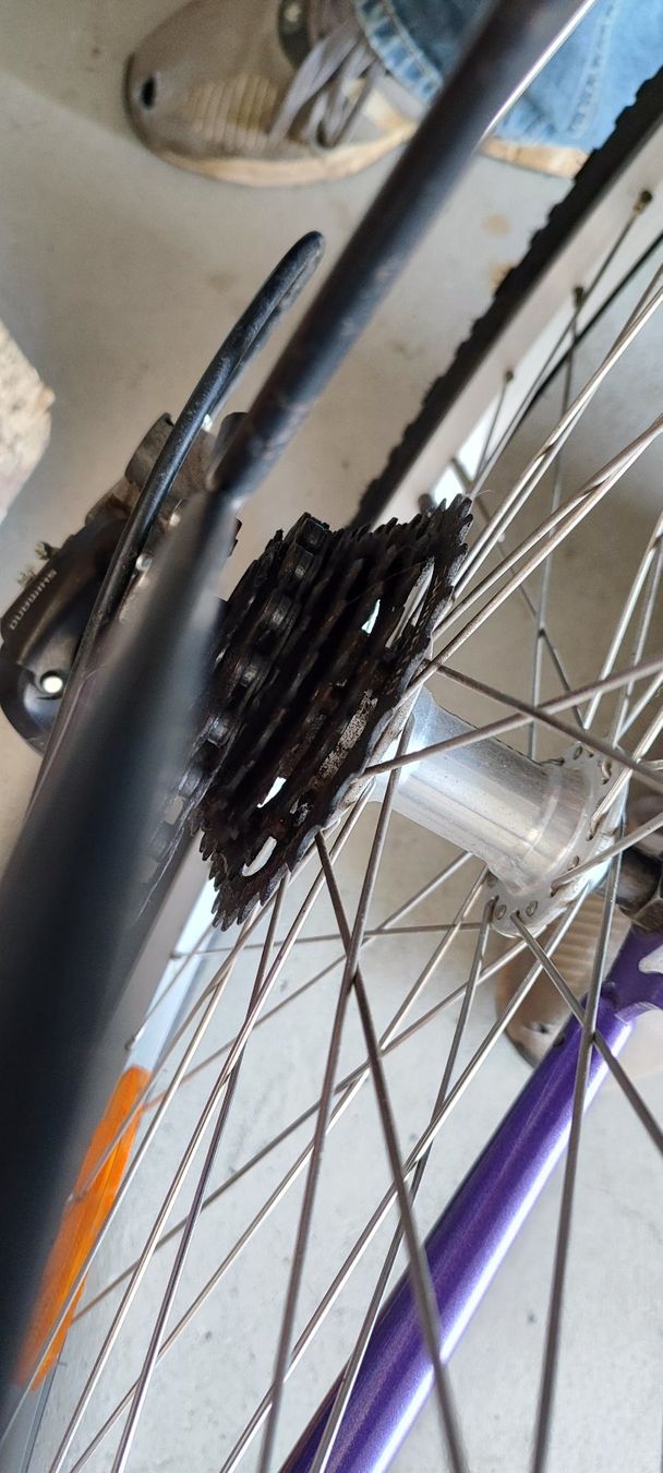 Biciclette: Mädchenvelo 24 Zoll California – Usato da Schlatt TG venduto da Steff000 6