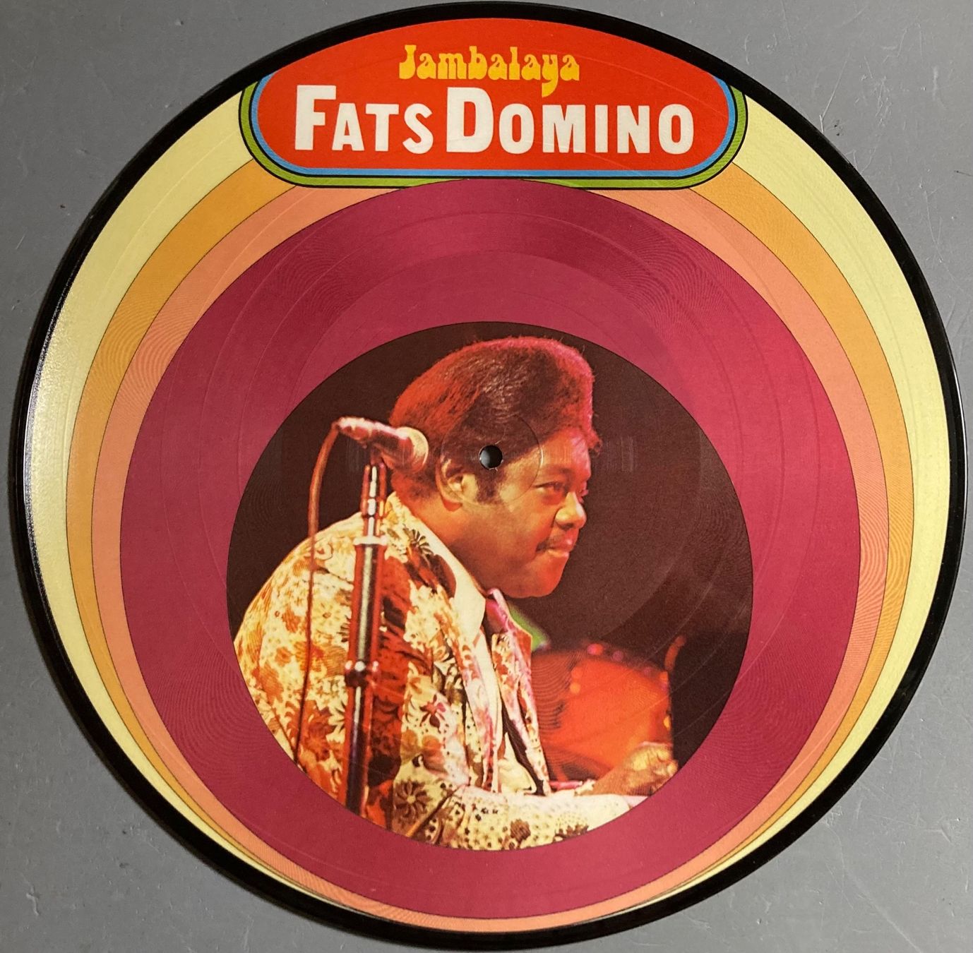 Dischi in vinile: FATS DOMINO - JAMBALAYA – Usato da Poliez-Pittet venduto da Newtown-Records