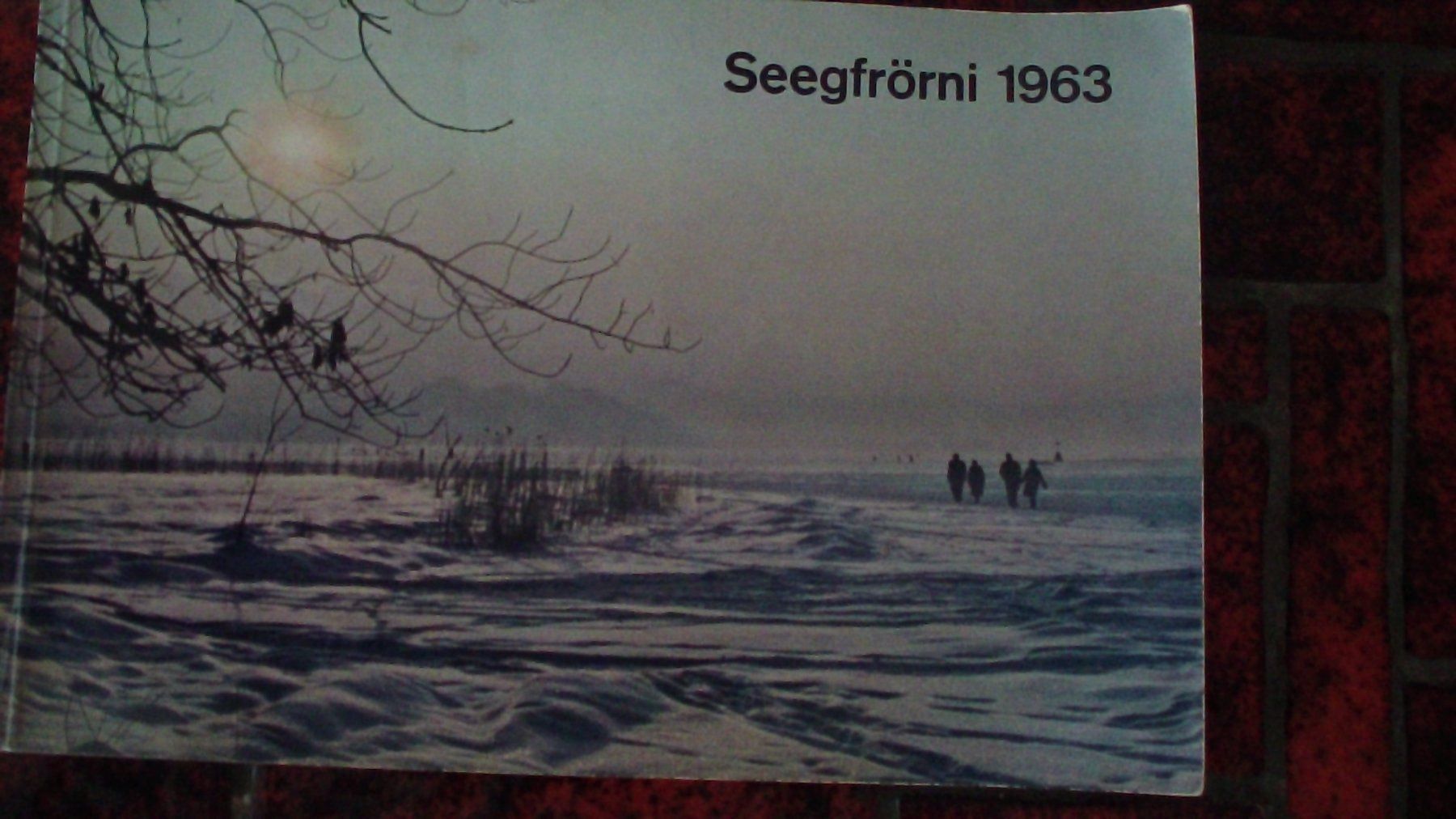 Libri: BUCH:ZÜRICH SEEGFRÖRNI 1963!!! – Usato da Volketswil venduto da nemo2000