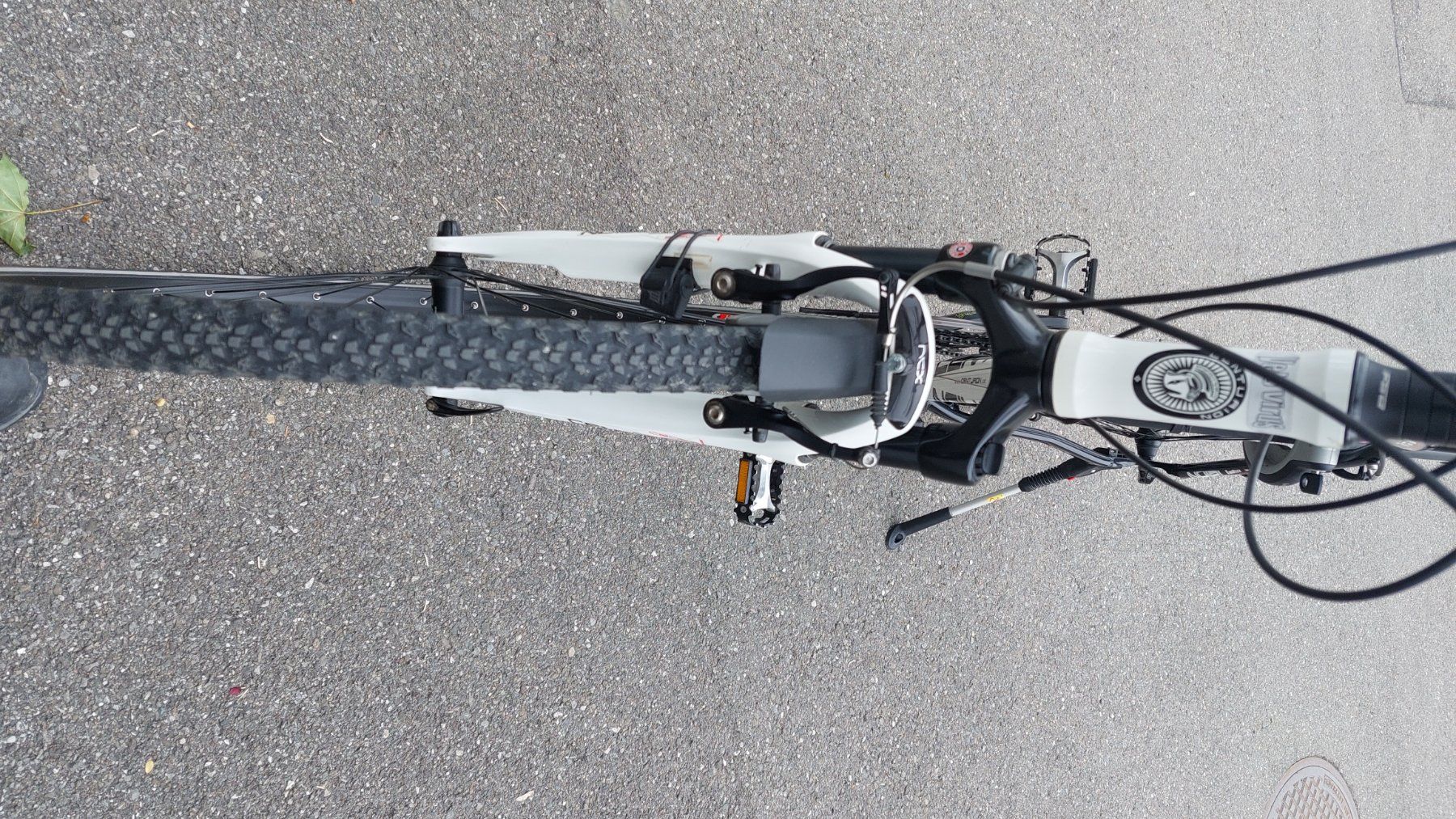 Biciclette: Herrenvelo – Usato da Jegenstorf venduto da Banane44 4