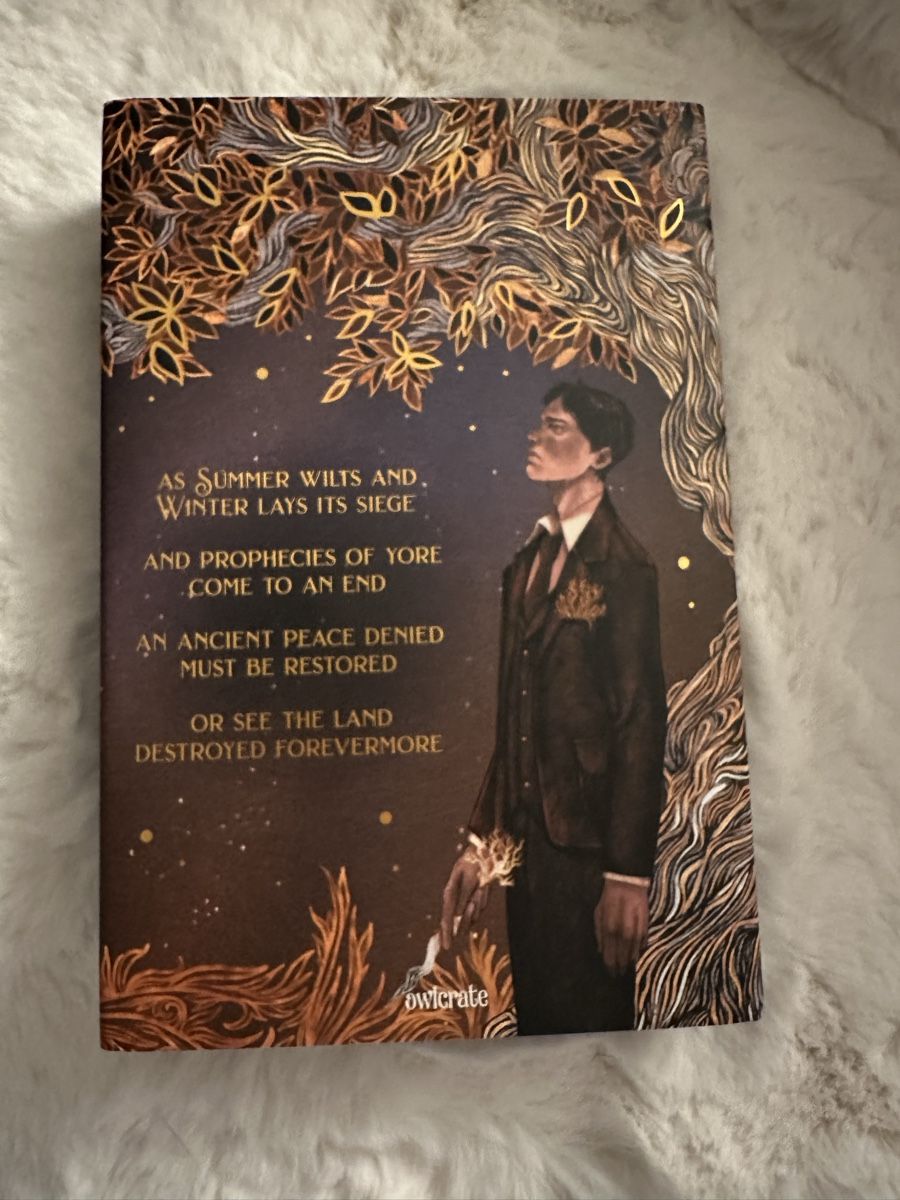 Bücher: Owlcrate Dezember 2025 – Neu (gemäss Beschreibung) aus Toffen von Yulieboo 1