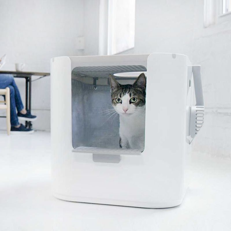 Autres accessoires pour animaux: Modkat XL Katzentoilette 53x41x43cm – Neuf avec emballage d'origine à Bottighofen par zaap 8