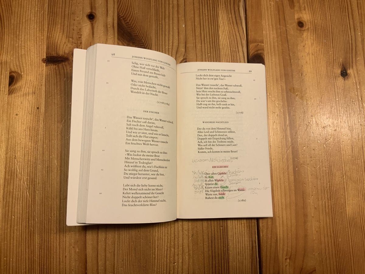 Bücher: Buch Deutsche Lyrik Hanspeter Brode – Gebraucht aus Ostermundigen von Bolette 2