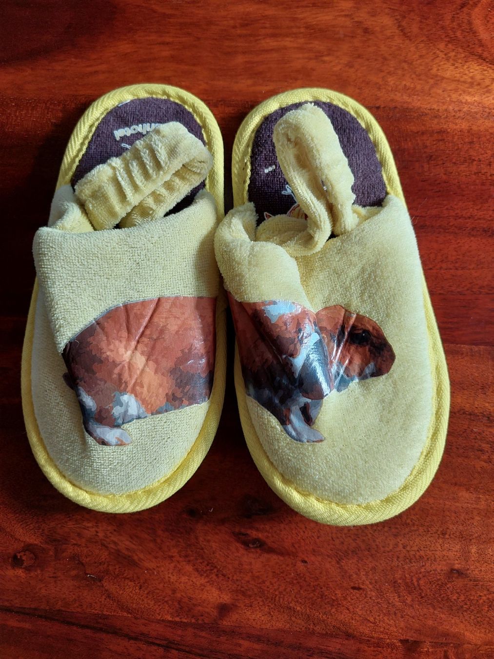 Scarpe per ragazzi: Finken Meerschweinchen Grösse 19 / 20 – Usato da Beckenried venduto da Havacola