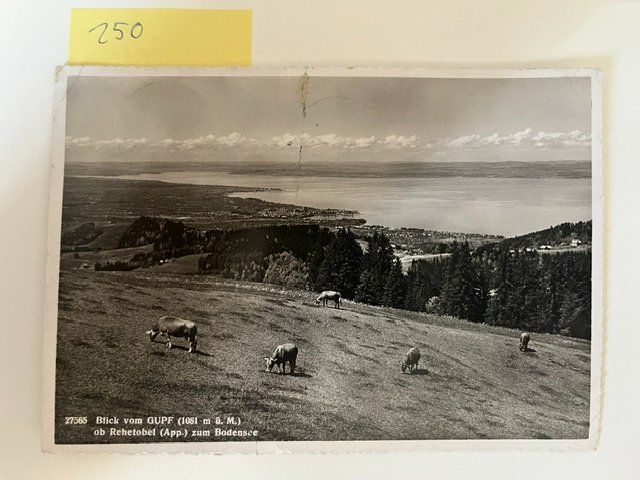Ansichtskarten: Ansichtskarte Blick vom GUPF ob Rehetobel Bodensee, alt – Gebraucht aus Niederwil AG von dahu75