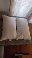 Billerbeck Kissen Edition Jack 65x100cm neu