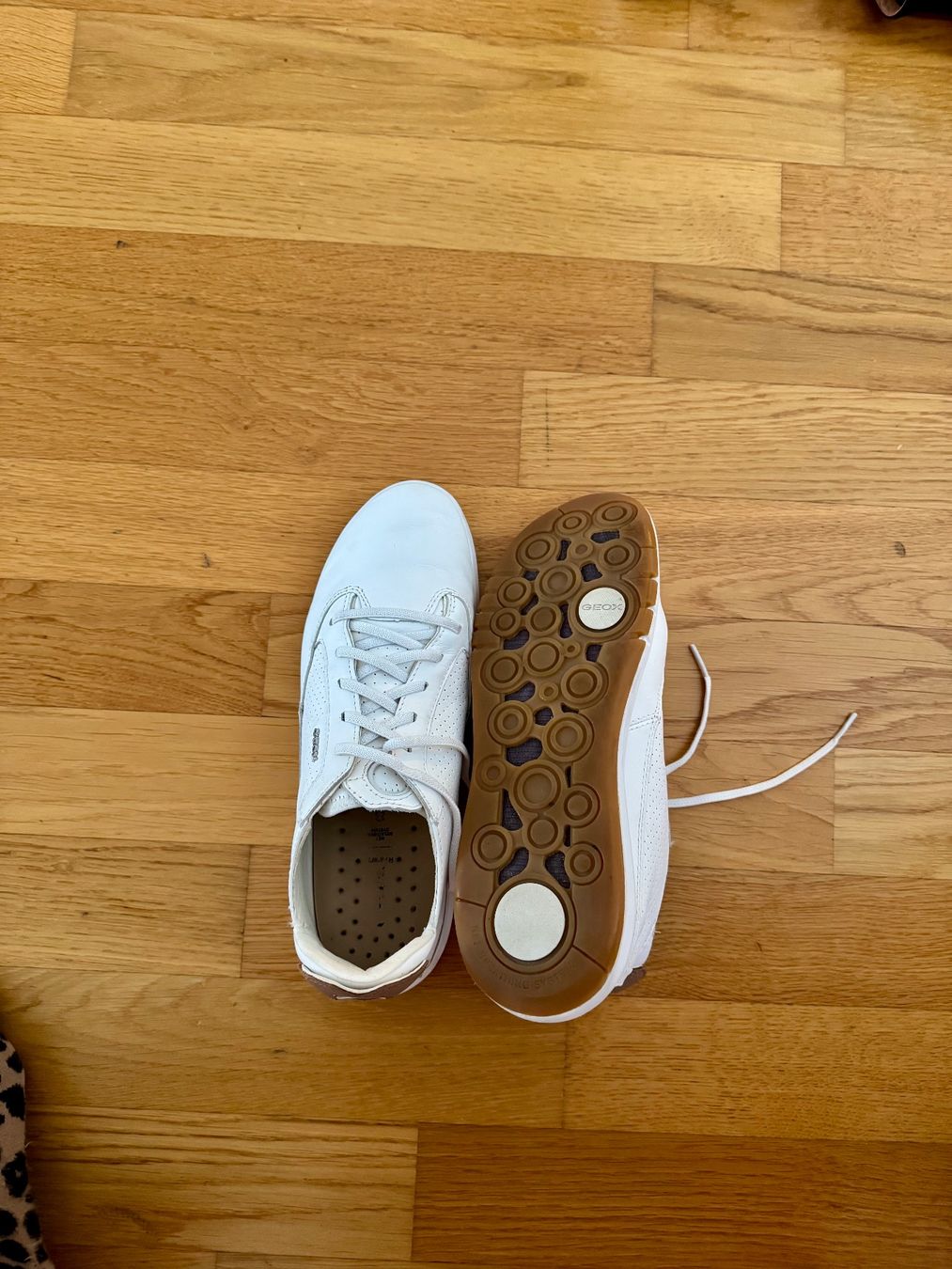 Geox Scarpe da donna: GEOX Aerantis Sneakers – Nuovo (secondo la descrizione) da Wettingen venduto da AskaB 3
