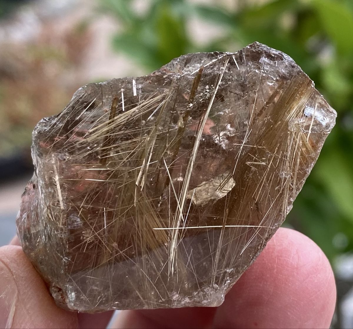 Minerali & Pietre curative: Schönes Stück Goldrutil  – Usato da Selzach venduto da 321compac 1
