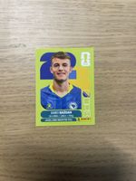 Panini FIFA WC BIH 19