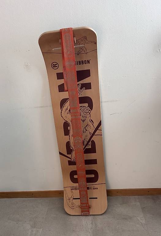 Slackline: Gibbon Board – Usato da Wald ZH venduto da kellerlisi