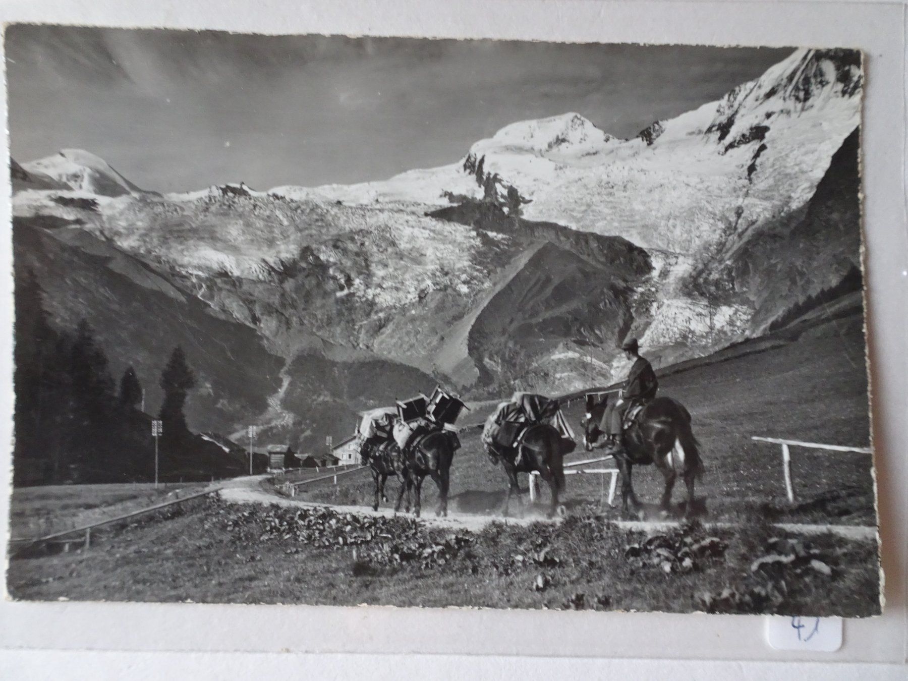 Ansichtskarten: Saas-Fee Maultiertransport, Ansichtskarte, Vintage, Top! – Gebraucht aus Schönenwerd von schnitzunddrunter
