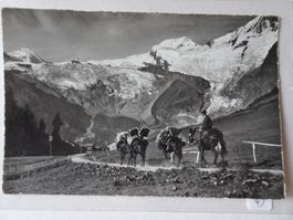 Saas-Fee Maultiertransport, Ansichtskarte, Vintage, Top!