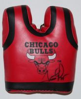 Scottie Pippen NBA Chicago Bulls autografo - Giocattolo