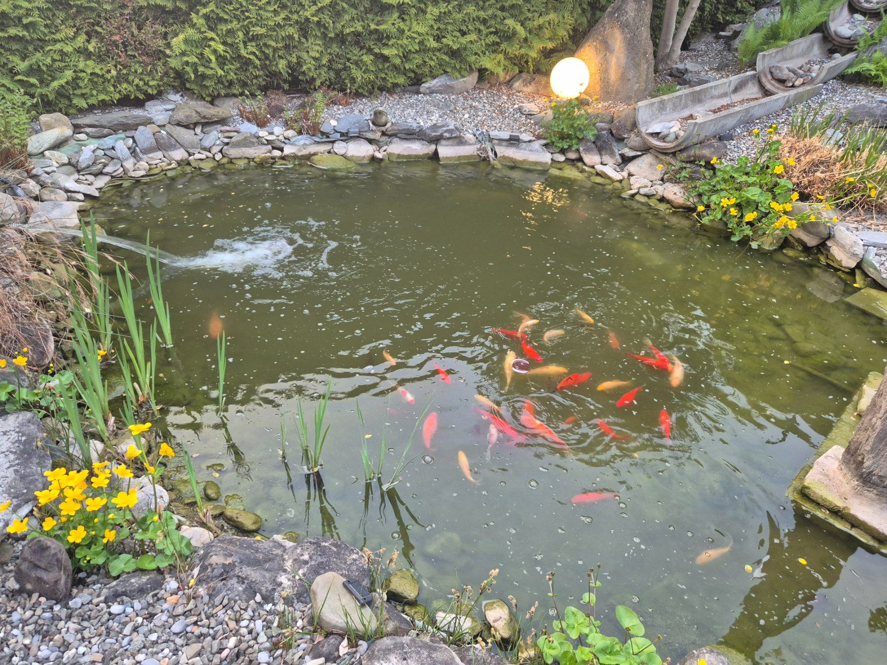 Etangs & Fontaines déco.: Teich zum Verkaufen – D'occasion à Bad Ragaz par markodel 3