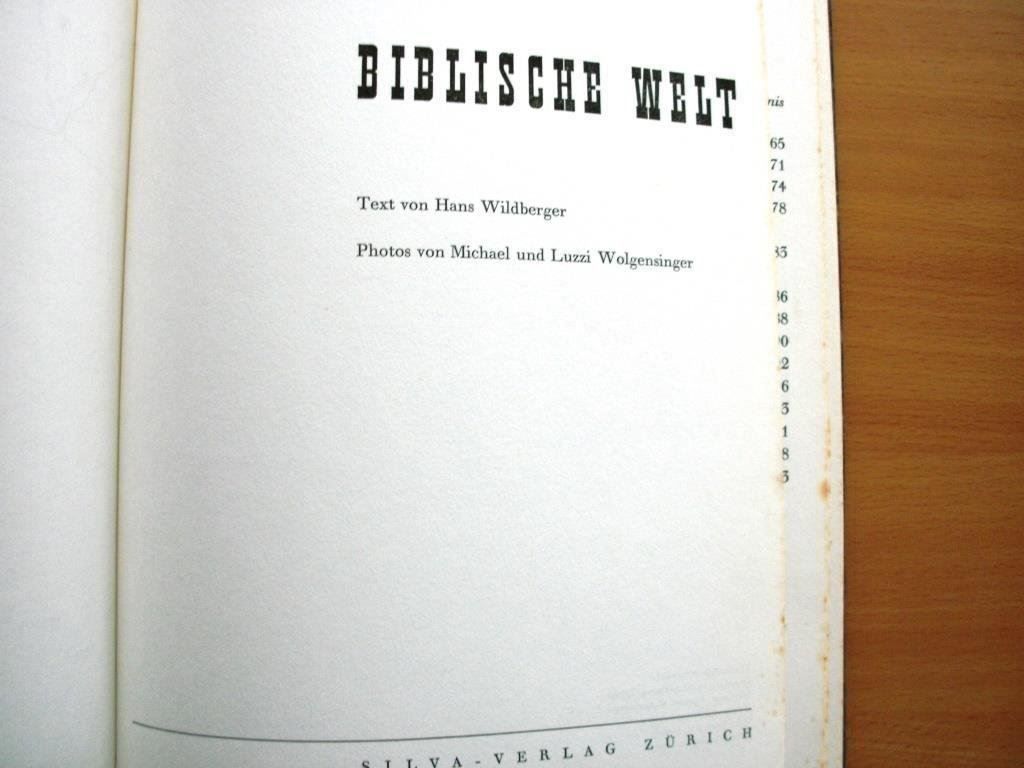 Libri: Biblische Welt - Bildband – Usato da Grenchen venduto da Kogi7 1