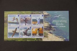 Alderney 2003 - Migrating Birds - Part 2 - Seabirds**