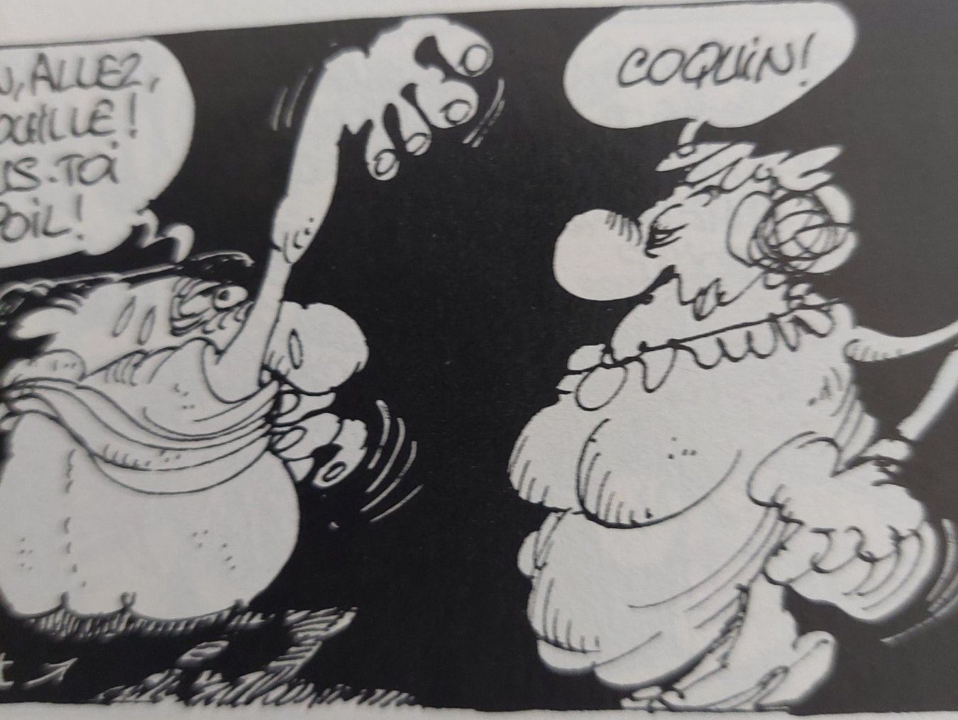 Comics: Fluide Glacial Hot Série 2003 BE+ – Gebraucht aus Genève von Blu_BD 3