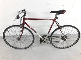 Cilo Rennvelo 28 Zoll Collies > günstig diese woche