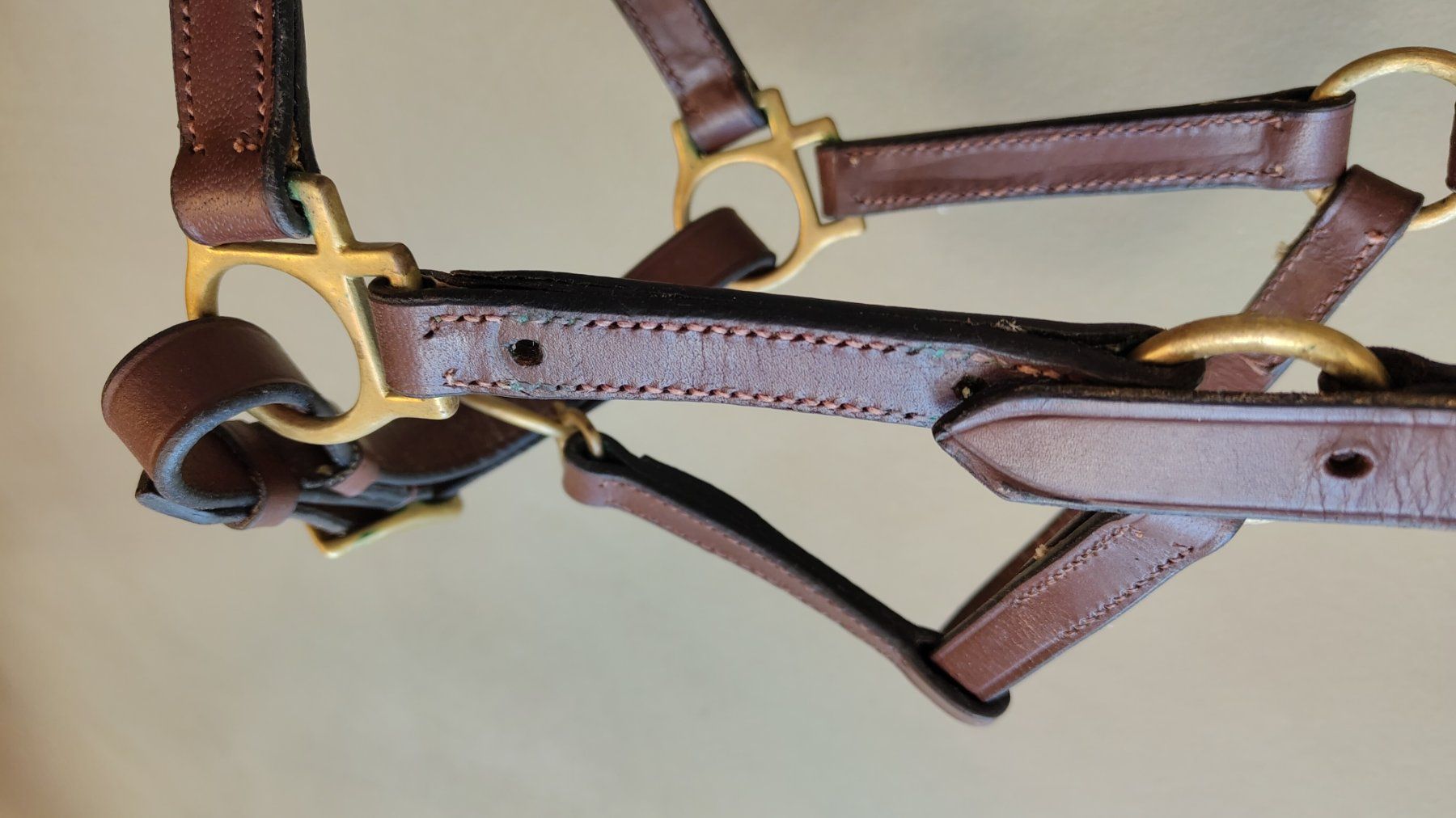 Briglie & Cavezze: Halfter Jungpferd/Pony, Leder – Usato da Emmenbrücke venduto da cla_sf98 2