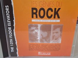 CD  The 13th Floor Elevators -  les Genies du (  Frisco )😎