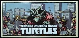 Teenage Mutant Ninja Turtles - Mirage Comics Foot Clan Box