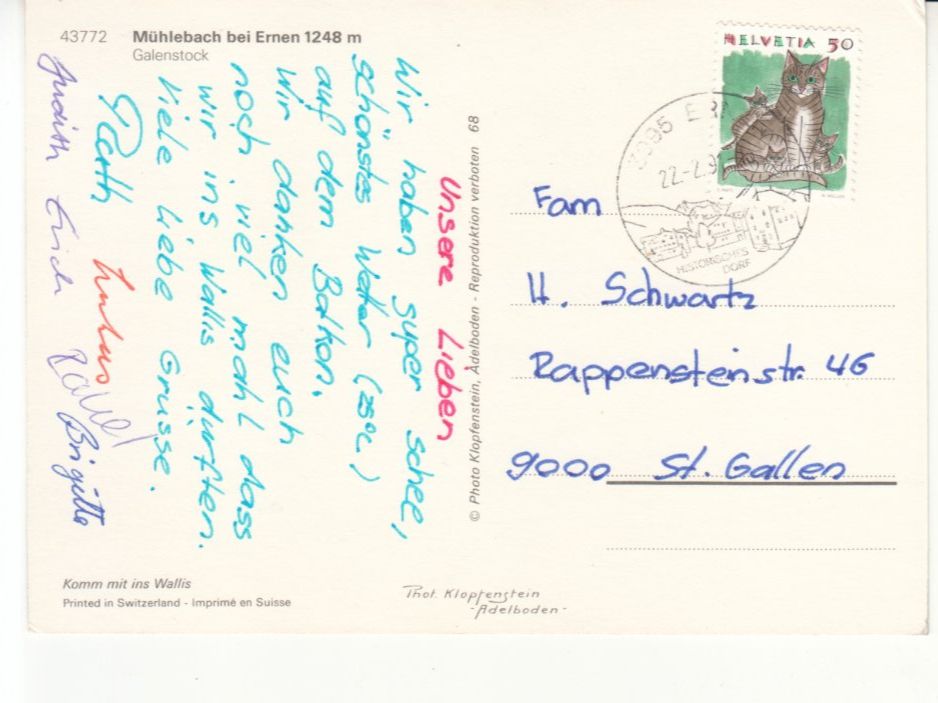 Cartoline postali: Mühlebach 1991 – Usato da Bürglen TG venduto da StampGraf 1