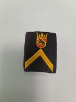 badge Police Bernoise noir