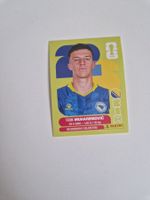 Panini Sticker BIH5