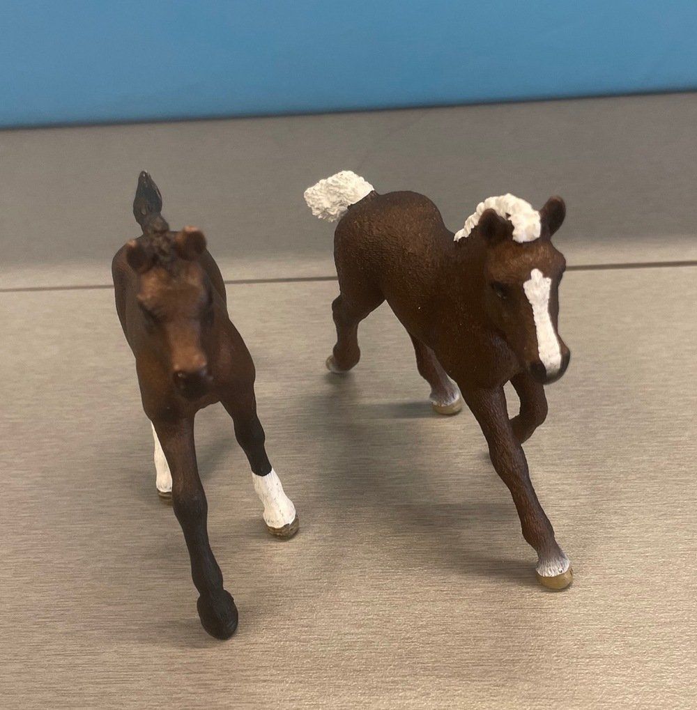 Schleich Giocattoli: Schleich 2 Pferdefohlen – Usato da Sirnach venduto da sagrotin 1