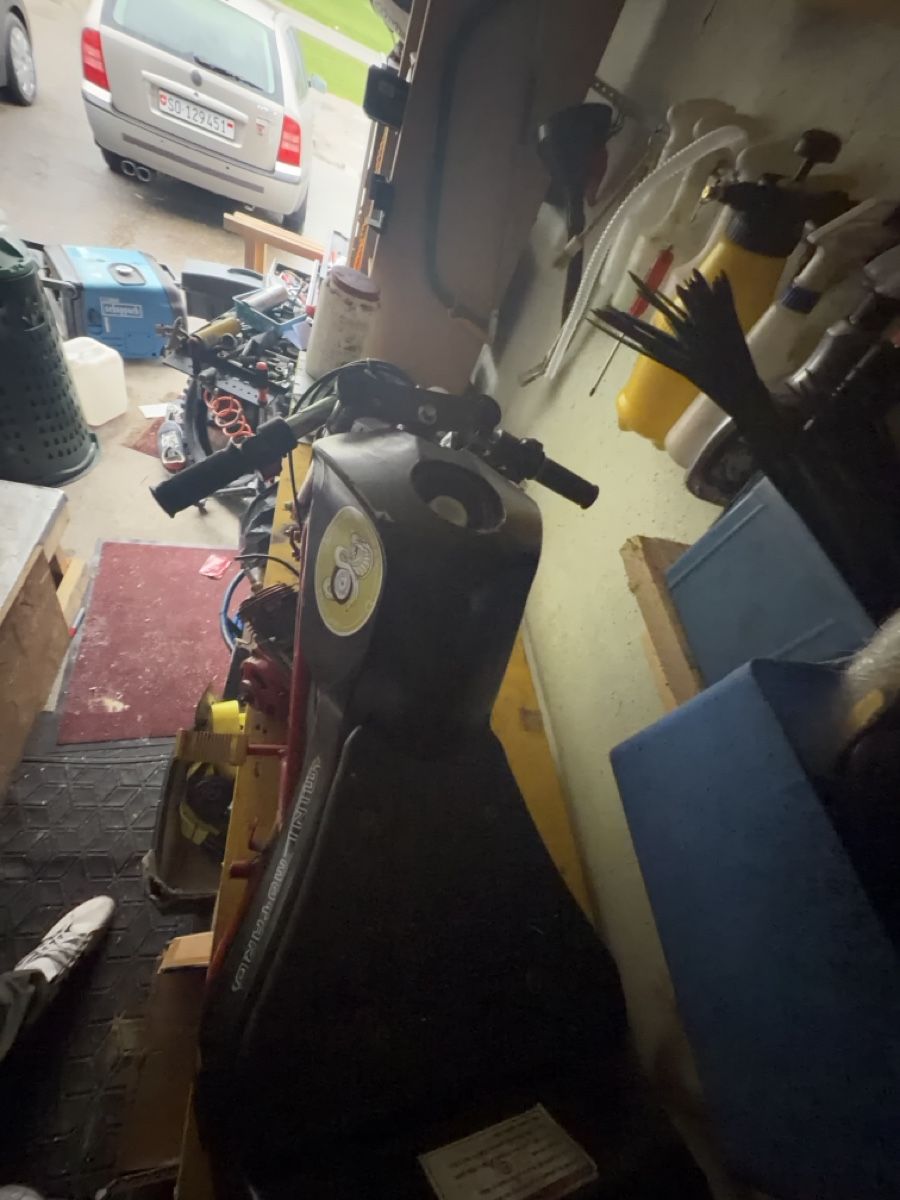 Pocket Bike Mini Motard rot unvollständig defekt (Défectueux) à ...