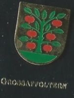 Grossaffoltern Gemeindewappen PIN