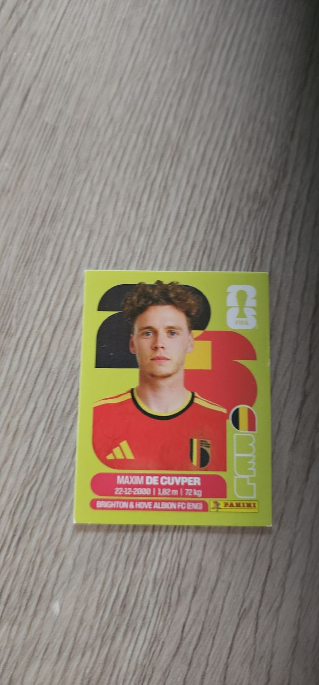 Panini Cartes à collectionner: Fifa World Cup Panini BEL 7 – Neuf avec emballage d'origine à Biel VS par volcom8702