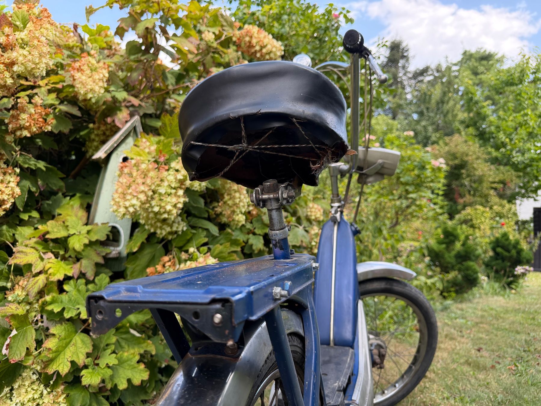 Piaggio Ciclomotori: Mofa Ciao – Usato da Goldach venduto da Flameflower 2