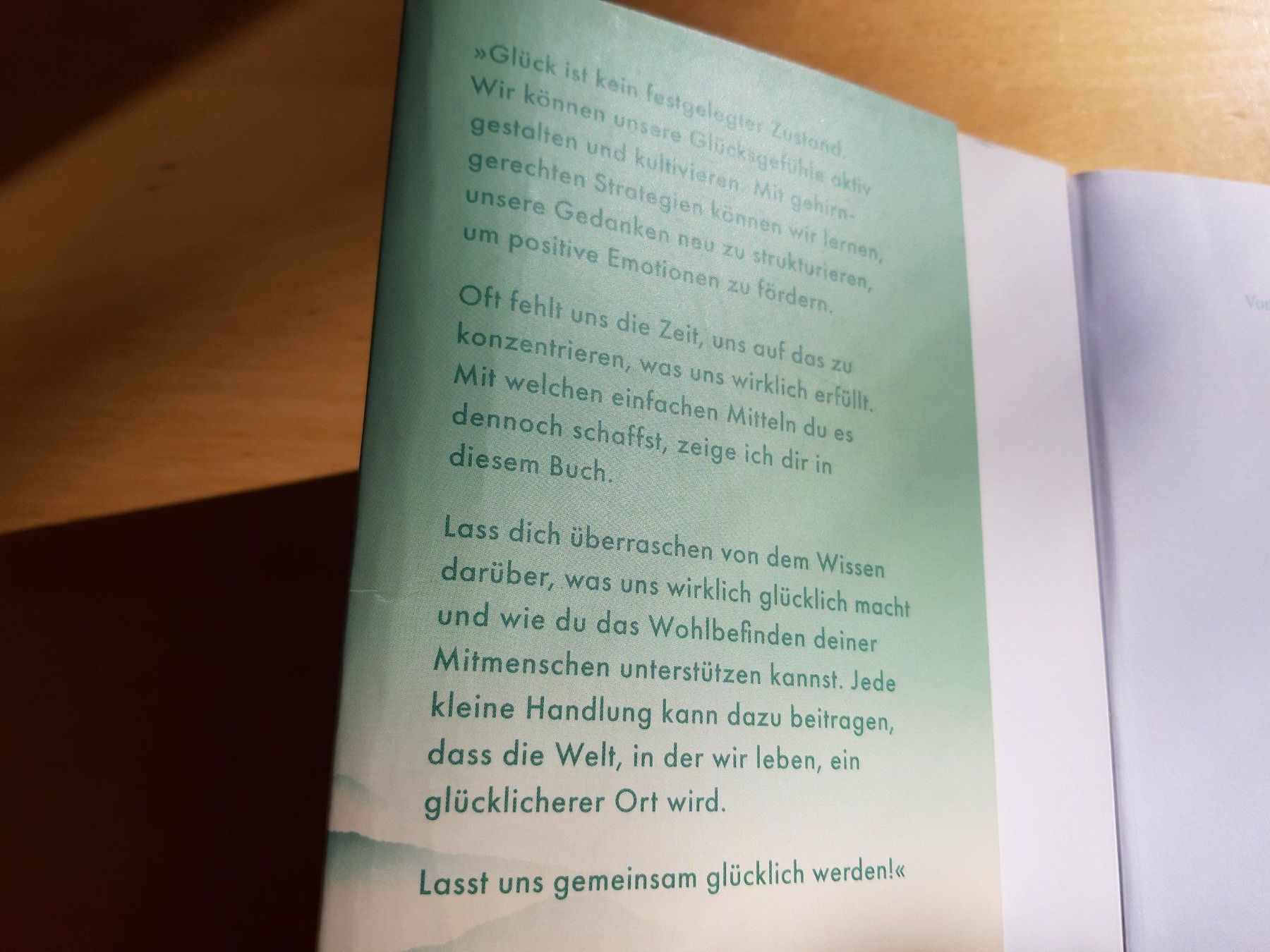 Libri: Vom Glück der richtigen Gedanken, Karolin Notebaert – Usato da Rotkreuz venduto da nigal 3