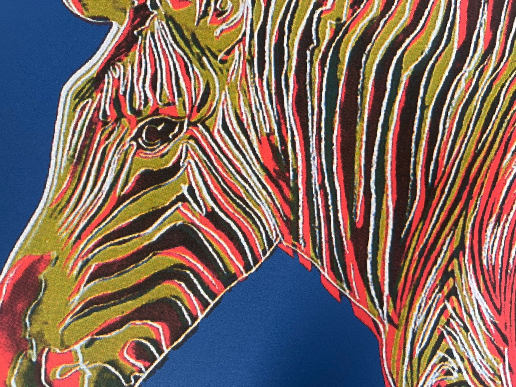 Foto & Immagini: Warhol: POP Art, Zebra 309/2400 – Nuovo (secondo la descrizione) da Meilen venduto da Smgdesign 6