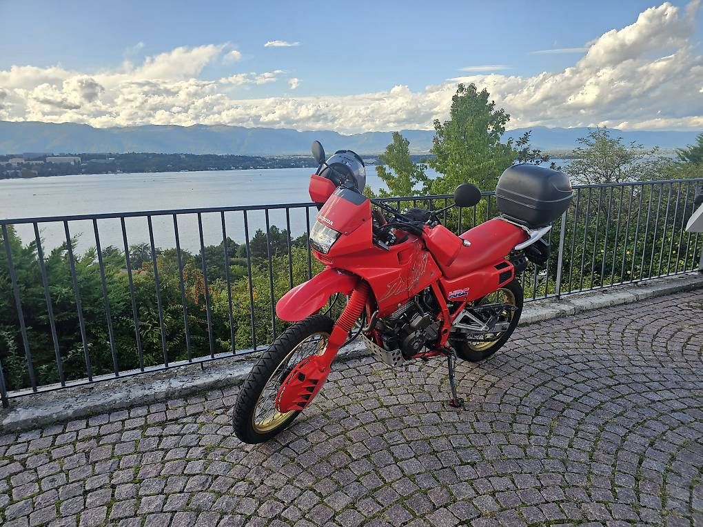 Enduro: Honda NX650 Dominator – Gebraucht aus Cologny von Fazz42