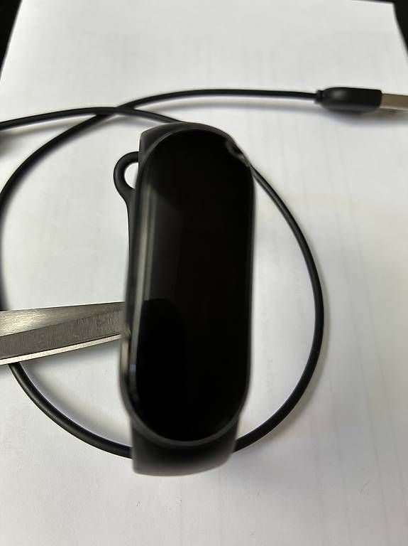 Smartwatch: Xiaomi Mi Smart Band 6 – Usato da Bern venduto da kusker