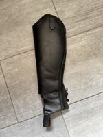 Schwarze Leder Chaps Steeds