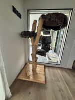 Schöner Natur Kratzbaum