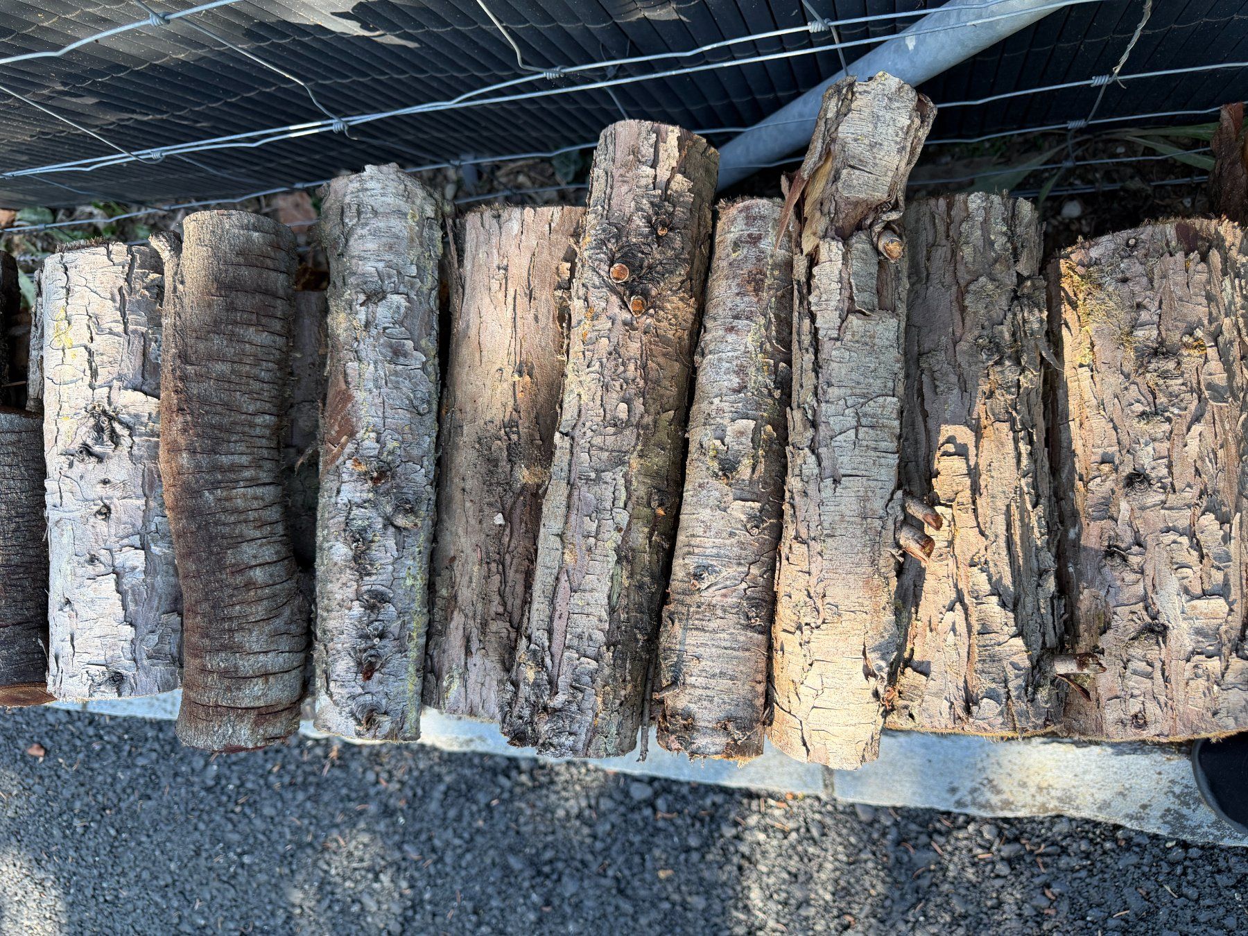 Articoli in legno: Brennholz Zypresse – Usato da Pfeffingen venduto da McStrada 1