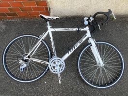 Rennrad Totem Race weiss/schwarz