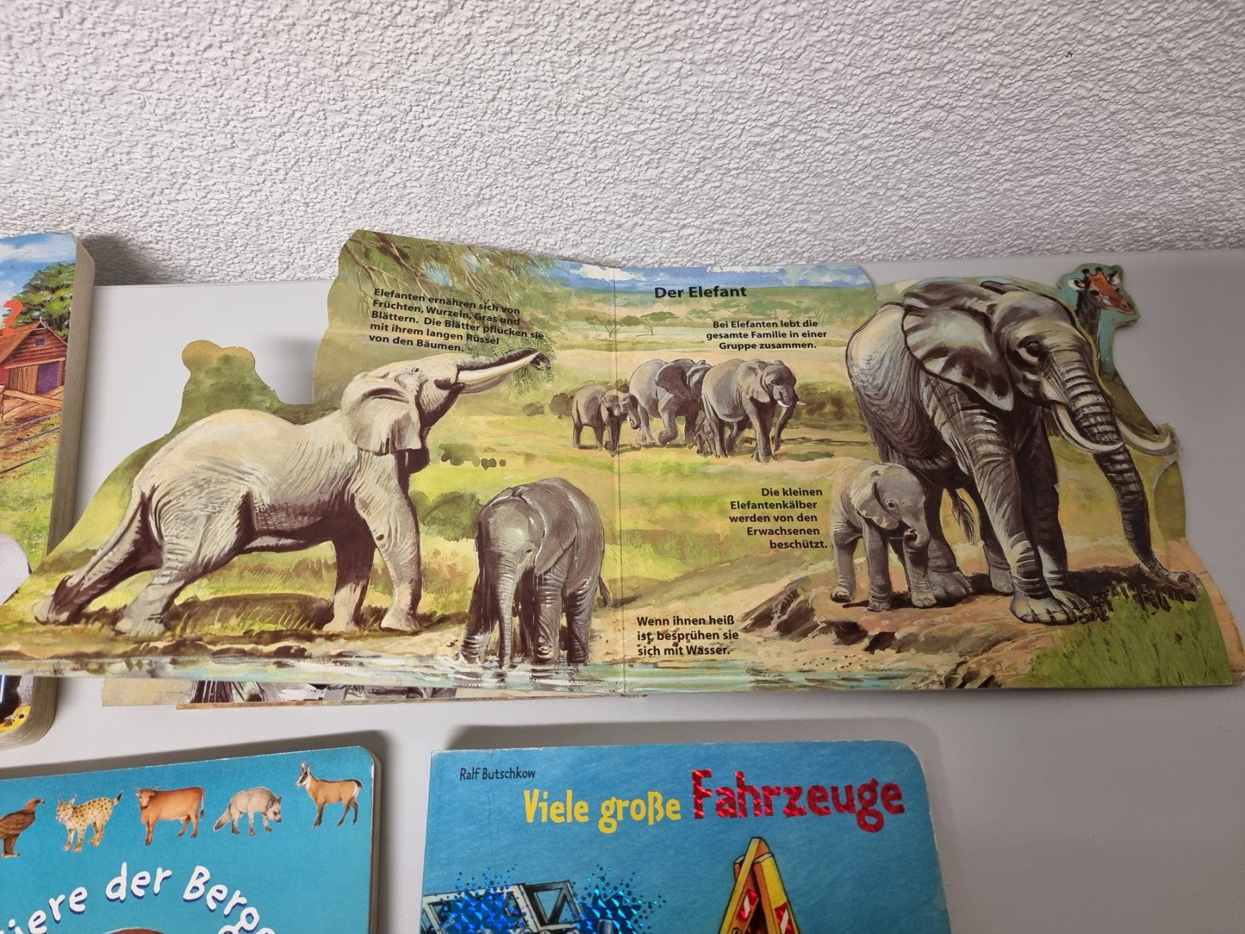 Libri: Kinderbücher  Bücher  5 Stk. – Usato da Hinwil venduto da Fransim 3