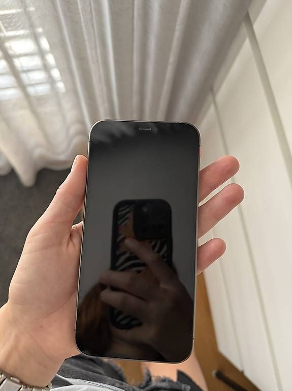 Telefoni cellulari / Smartphones: Apple iPhone 12 Pro, 256GB, Graphit + 7 Hüllen – Usato da Remigen venduto da ShiroAyato15 2