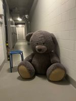 Riesen Teddybär, Plüschtier in XL Grösse und gutem Zustand