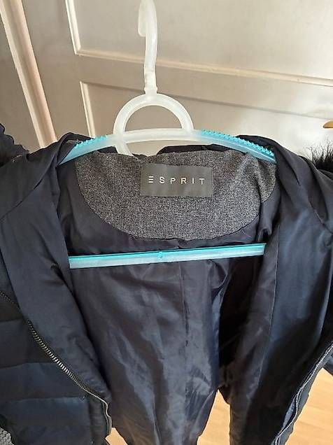 Giacche: Daunenjacke Damen – Usato da Muri b. Bern venduto da Simba53 1